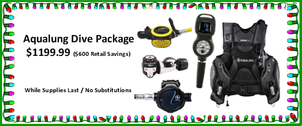 Aqualung Dive Package