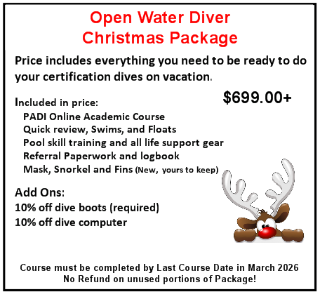PADI Open Water Diver Christmas Package