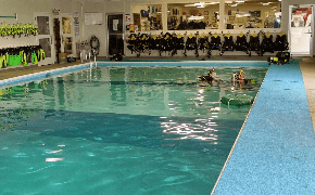 Aquatic Realm's Heated Indoor Pool