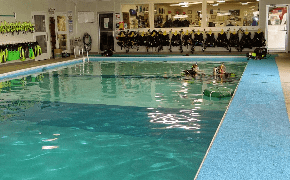 Our Heated Indoor Pool Aquatic Realm's Heated Indoor Pool