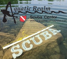 Aquatic Realm Scuba Center - Where Dreams meet Reality - Become a PADI Instructor