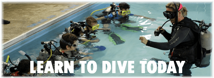 Learn to Become A Scuba Diver